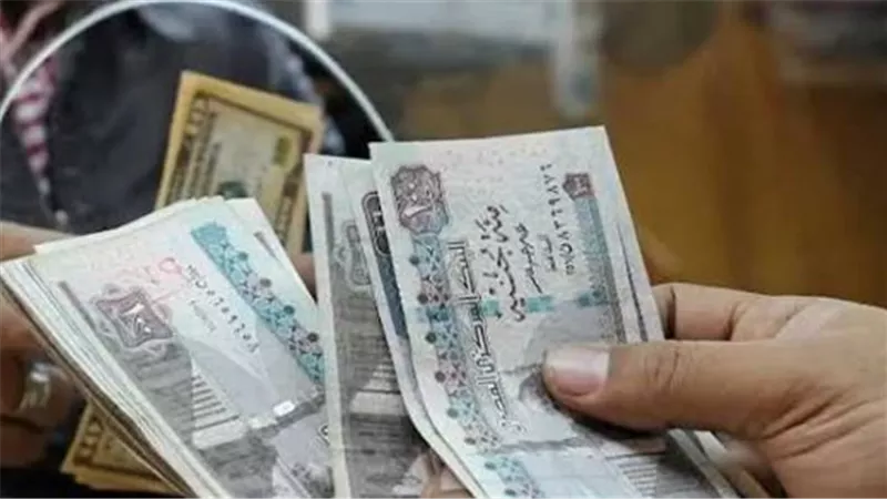معاشات أغسطس 2026 في مصر.. تفاصيل الصرف والزيادة وخطوات الاستعلام عبر التأمينات