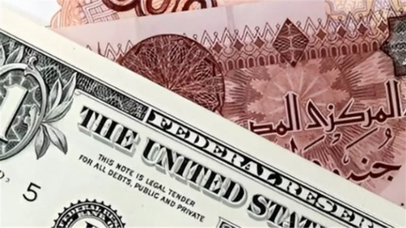 الدولار يواصل الثبات بالبنوك المصرية وسط استقرار سوق الصرف