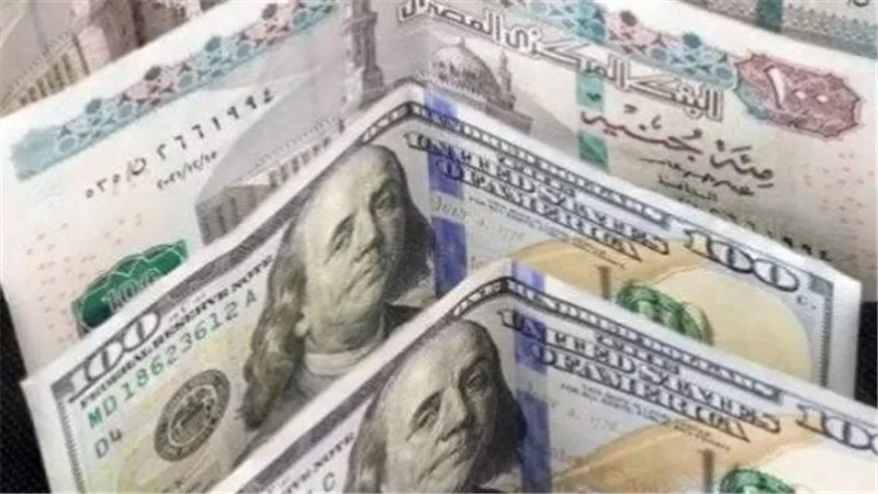 استقرار سعر الدولار اليوم 1_8_2026.. توقعات سعر الدولار خلال الفترة المقبلة