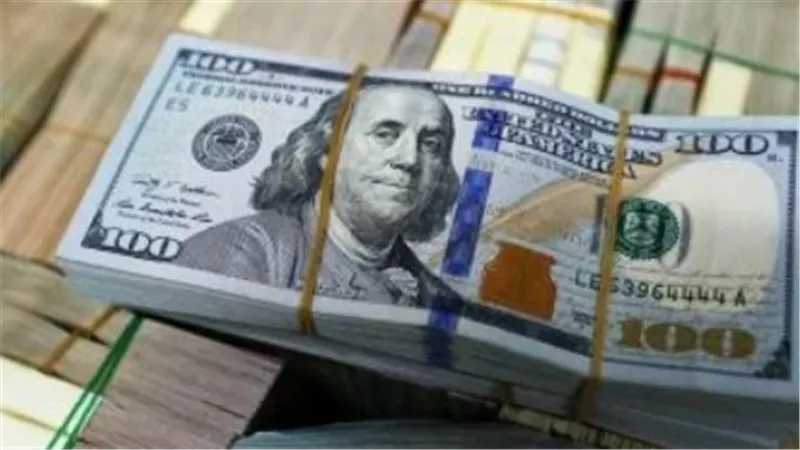 استقرار العملة الأمريكية يعزز هدوء سوق الصرف في مصر
