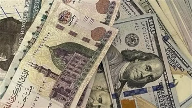سعر الدولار الآن في البنوك المصرية.. تحديث لحظي