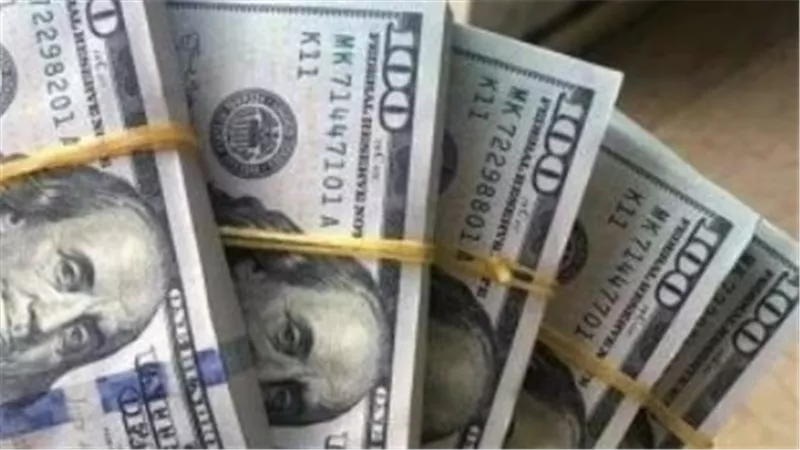 استقرار سعر الدولار في مصر.. تعرف على أسعار جميع البنوك