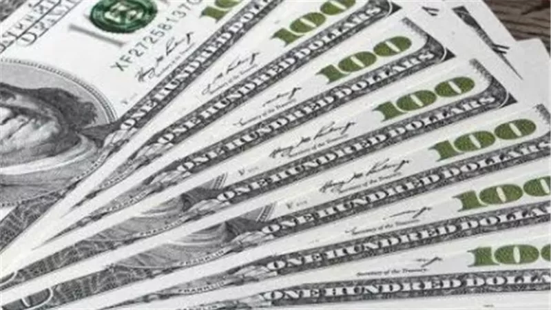 سعر الدولار اليوم.. ثبات ملحوظ وسط استقرار سوق النقد