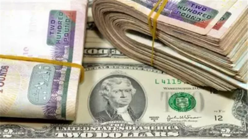 سعر الدولار اليوم الأحد.. العملة الخضراء تحافظ على مستوياتها بالبنوك