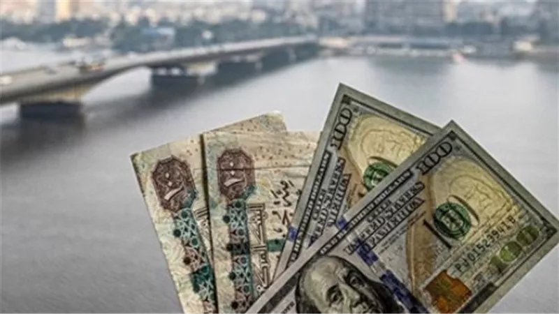 سعر الدولار اليوم في البنوك.. فروق محدودة بين أسعار الشراء والبيع