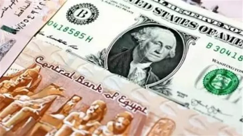 سعر الدولار اليوم الأحد 9 أغسطس.. تفاصيل الأسعار في البنوك المصرية