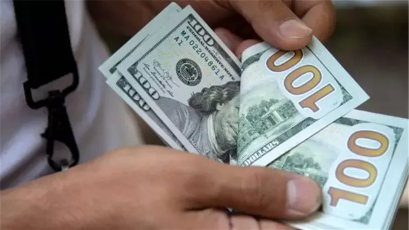 سعر الدولار اليوم في مصر.. استقرار جديد وترقب لحركة الأسواق المقبلة