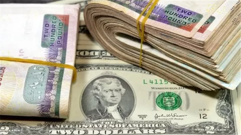 الدولار اليوم في البنوك.. 50.17 جنيه للشراء و50.27 للبيع في الأهلي ومصر
