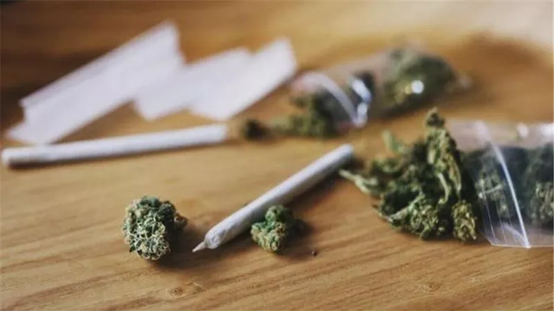  أمريكا في قبضة المتلازمة الغامضة.. القنب يحوّل حياة الشباب إلى نوبات قيء مؤلمة 