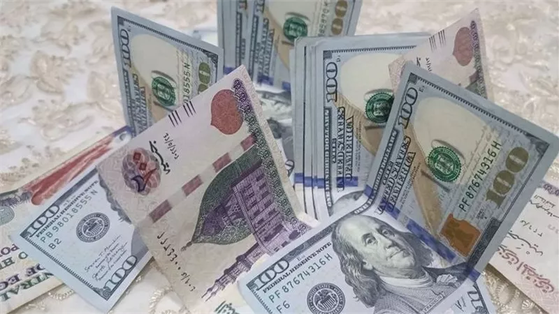 سعر الدولار اليوم في مصر.. تحركات جديدة وتفاوت محدود بين البنوك