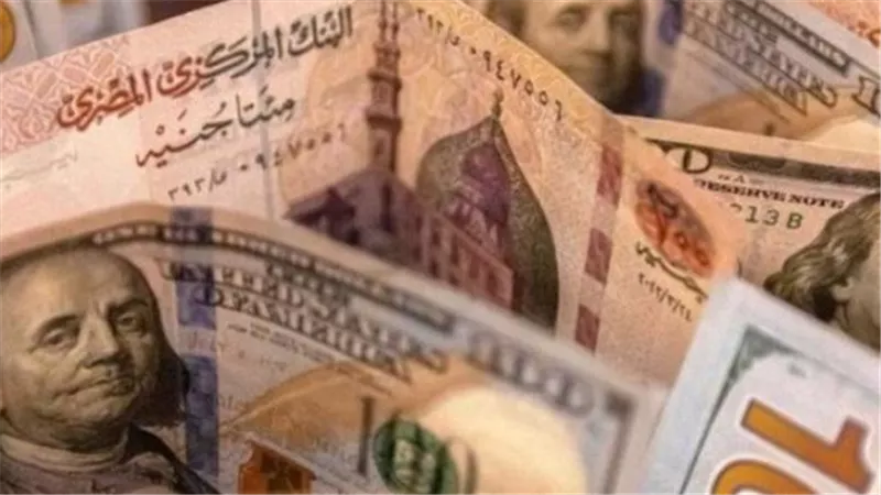 سعر الدولار اليوم 11_8_2026 في البنك المركزي المصري والبنوك