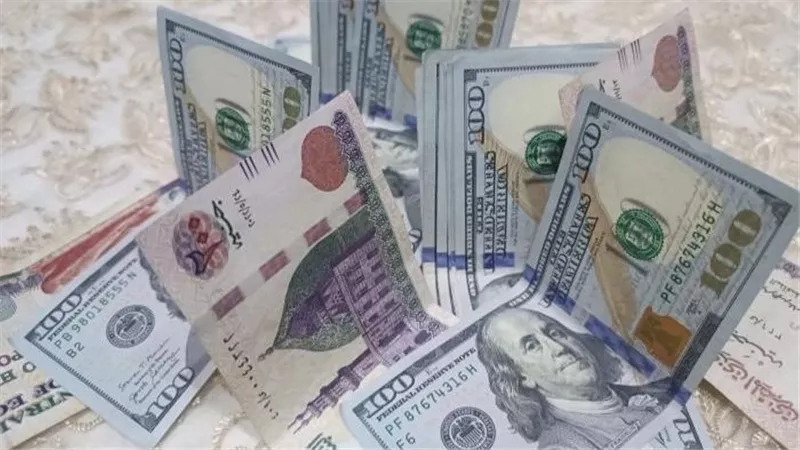 سعر الدولار اليوم في البنك المركزي.. مفاجأة في أسعار الشراء والبيع