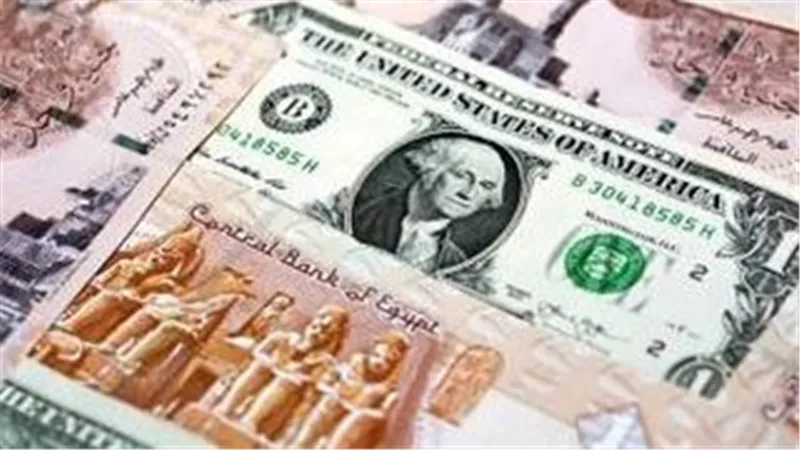 سعر الدولار مقابل الجنيه اليوم.. استقرار نسبي في بداية تعاملات الأحد
