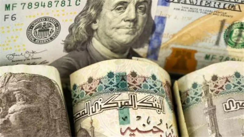 سعر الدولار في البنك المركزي والبنوك الكبرى اليوم 17_8_2026