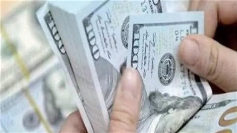 الدولار بكام النهارده؟ سعر الدولار اليوم في البنوك المصرية الخميس 20 أغسطس 2026