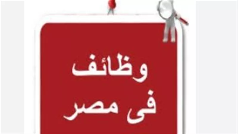لأصحاب المؤهلات والخبرات.. وزارة العمل تكشف تفاصيل وظائف قنا الجديدة