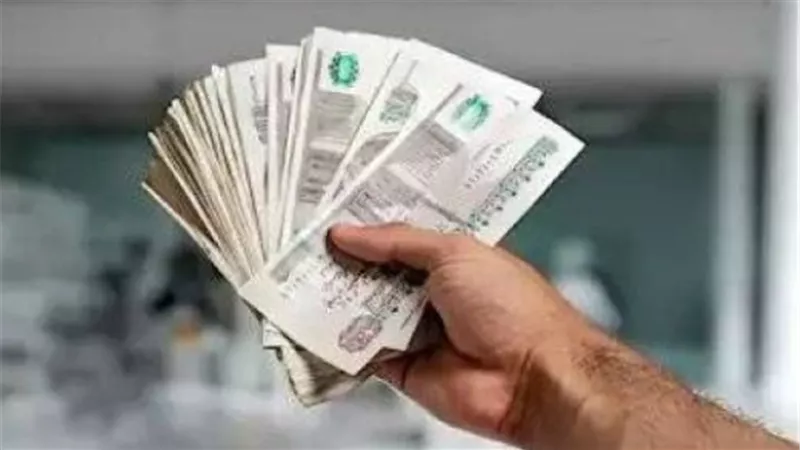 شهادات الادخار في 2026.. عوائد تصل إلى 22% وأبرز الخيارات أمام المستثمرين