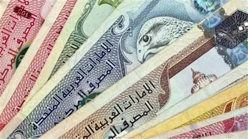 سعر الدرهم الإماراتي في البنك المركزي المصري اليوم 25_8_2026