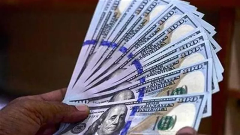سعر الدولار مقابل الجنيه اليوم.. استقرار ملحوظ في بداية تعاملات الأربعاء