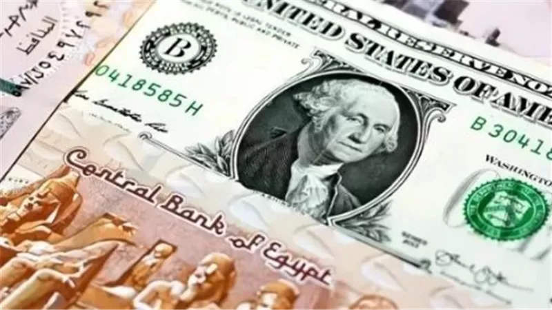 سعر الدولار الآن مقابل الجنيه.. استقرار العملة الأمريكية في التعاملات المصرفية