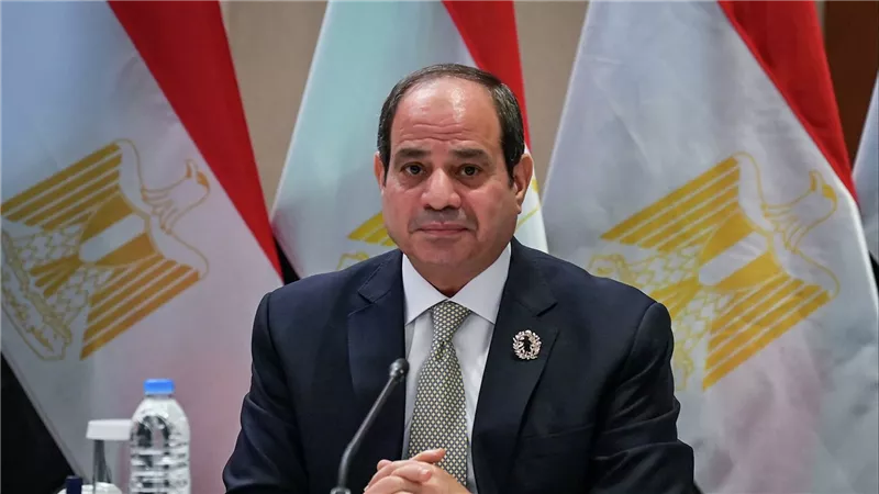 السيسى يصل أرض الوطن بعد المشاركة فى قمة محيط واحد