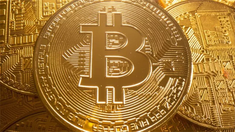 عملة MiamiCoin تفقد أكثر من 80% من قيمتها