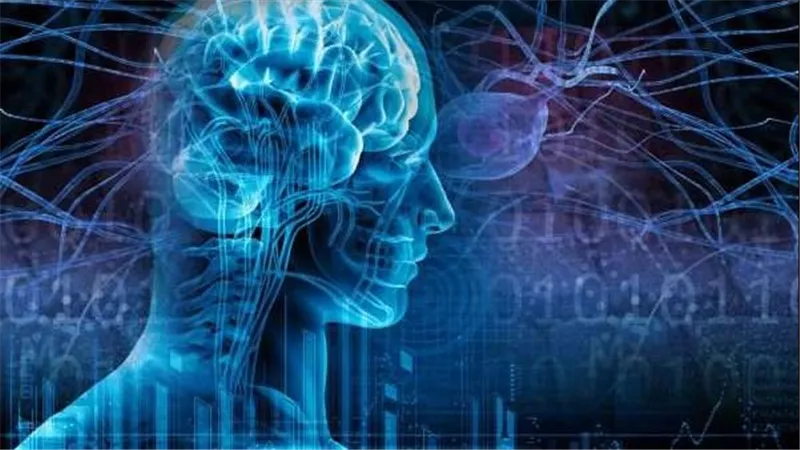 معلومات لا تعرفها عن مرض الصرع