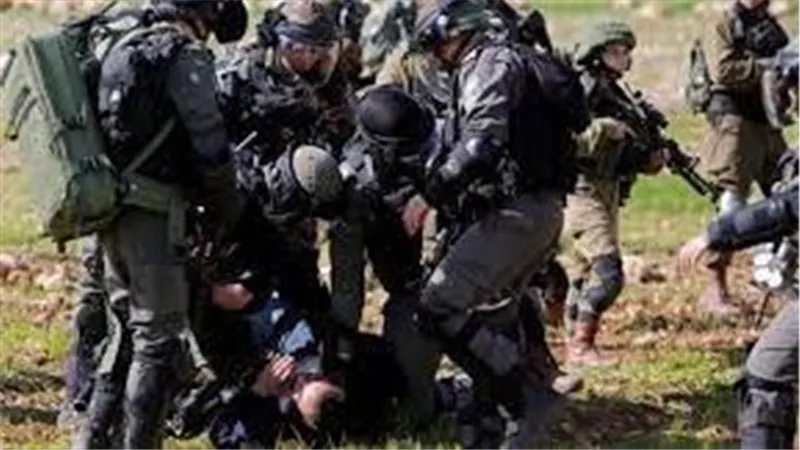 الاحتلال الإسرائيلي يعتقل 24 فلسطينيًا من الخليل ورام الله 
