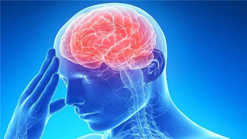  السلطات الصحة في أستراليا تحذر من مرض التهاب الدماغ الياباني الذي ينقله البعوض