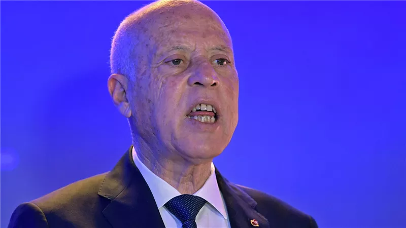 تونس.. تعيين أعضاء مجلس القضاء الأعلى المؤقت بقرار من قيس سعيد