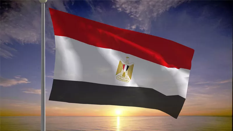 مصر.. عودة 71 مواطنًا من المقيمين في أوكرانيا