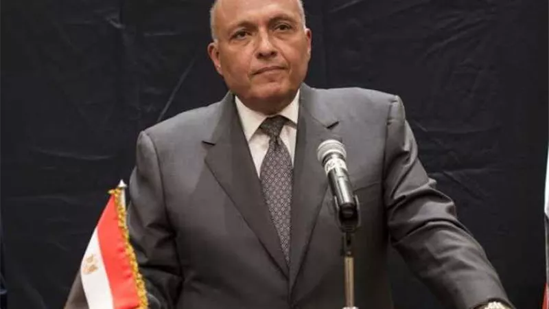 وزير الخارجية المصري يسلم رئيس وزراء سنغافورة رسالة من السيسى