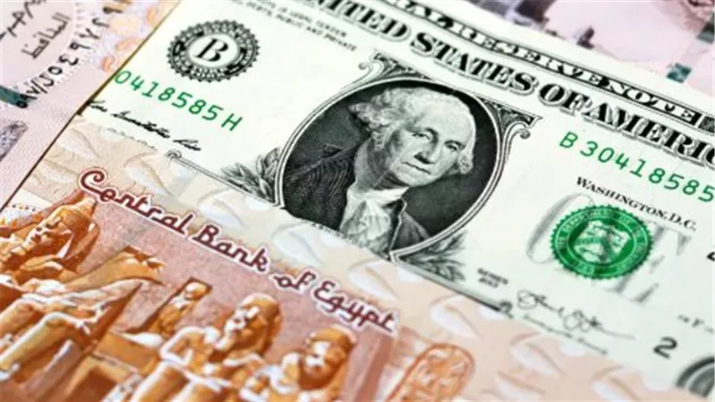 سعر الدولار مقابل الجنيه اليوم.. استقرار جديد في تعاملات البنوك