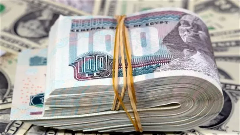 الدولار يستقر أمام الجنيه اليوم.. سعر العملة الأمريكية في البنوك المصرية