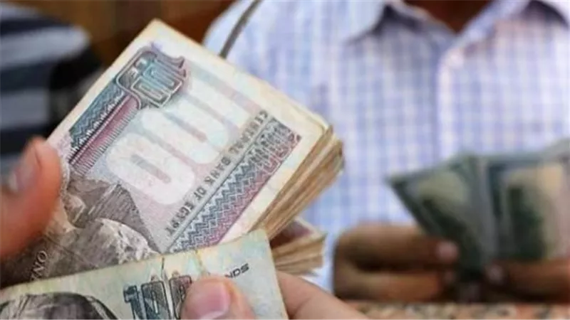 رابط الاستعلام عن معاشات سبتمبر 2026.. الخطوات بالتفصيل