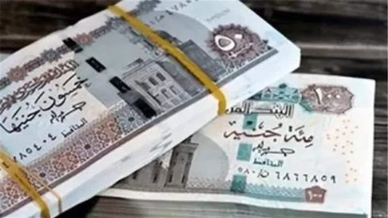 معاشات سبتمبر 2026.. كيف تستعلم عن بيانات ملف المعاش إلكترونيًا؟