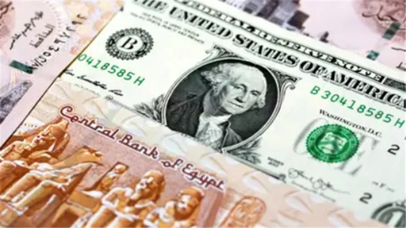 سعر الدولار في البنوك المصرية اليوم.. تفاصيل أسعار الشراء والبيع
