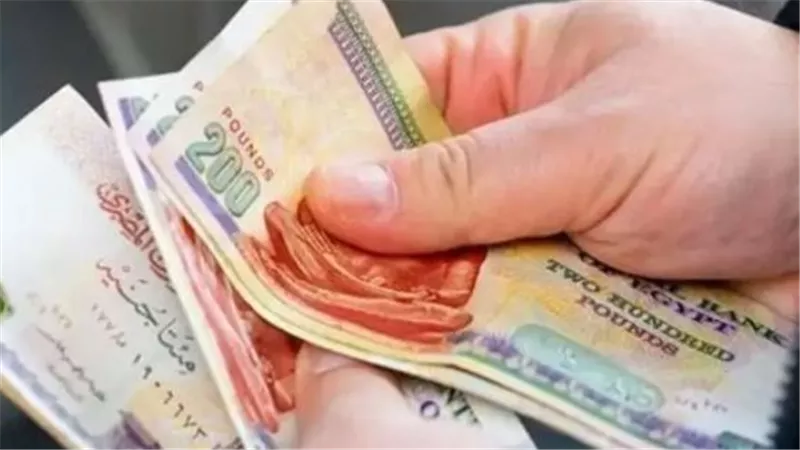 قبل تقديم طلب المعاش المبكر.. شروط مهمة يجب التأكد من توافرها