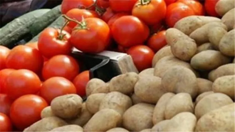 قبل ما تنزل تشتري.. شوف سعر الطماطم والبطاطس والمانجو النهارده