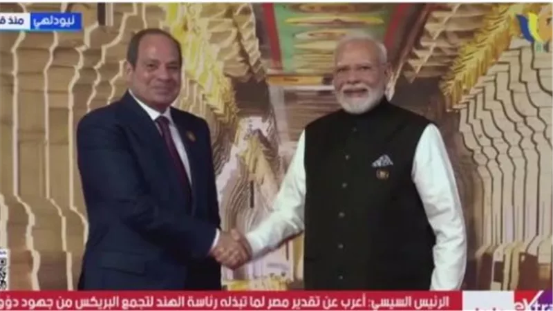 من بريكس إلى الاقتصاد العالمي.. السيسي يطرح رؤية مصر لتعزيز التجارة والاستثمار مع الهند