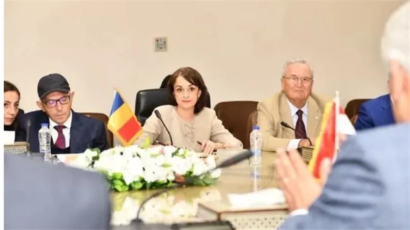 وزير الإنتاج الحربي يبحث مع سفيرة رومانيا تعزيز الشراكات الصناعية ونقل التكنولوجيا