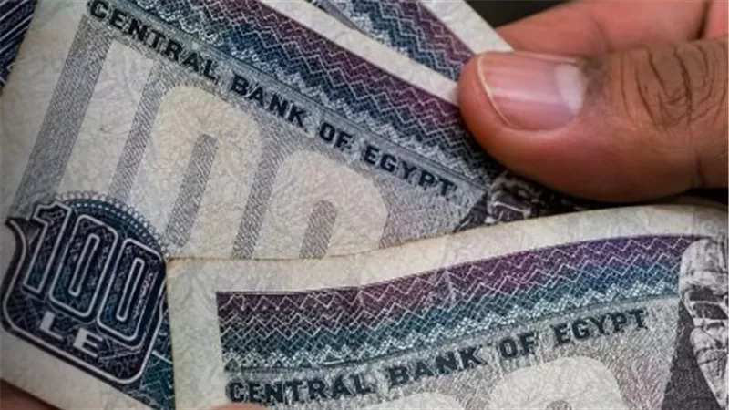 صرف دعم تكافل وكرامة.. تعرف على موعد مستحقات سبتمبر وطرق الصرف