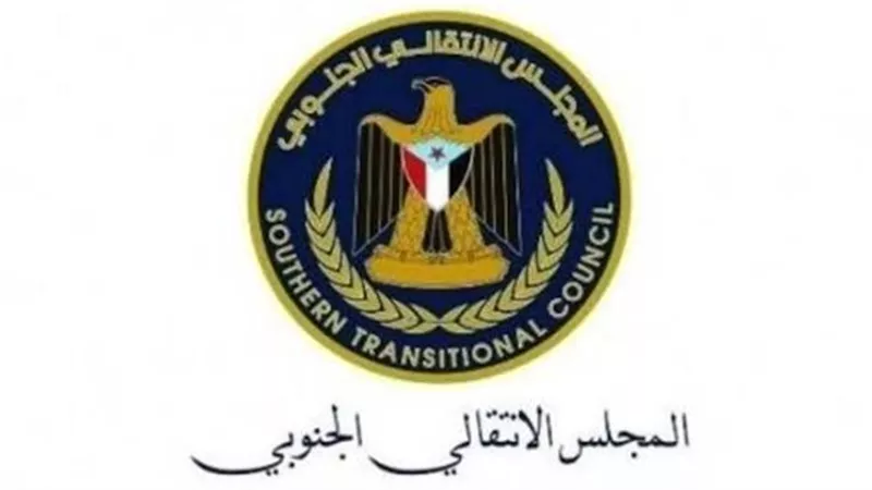 من قوة الميدان إلى قوة المؤسسات.. كيف يصنع الجنوب مستقبله؟