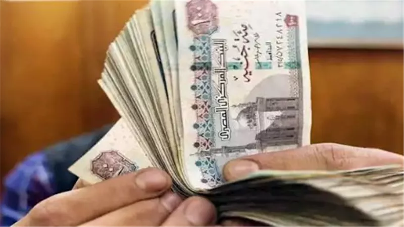من غير ما تروح التأمينات.. اعرف بيانات معاشك إلكترونيًا