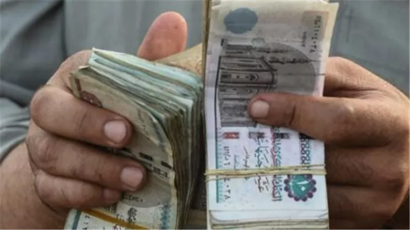بالرقم القومي فقط.. خطوات الاستعلام عن بيانات معاش سبتمبر 2026