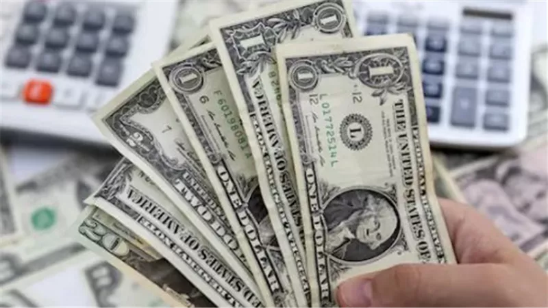 مفاجأة في سعر الدولار.. أين سجلت العملة الأمريكية أعلى سعر؟