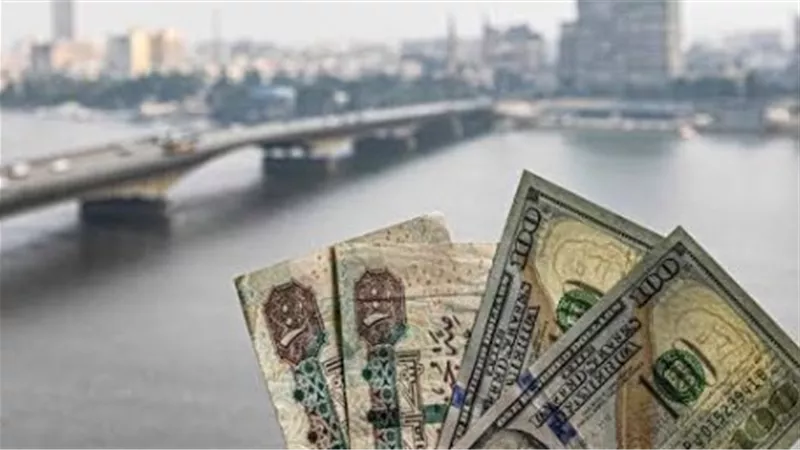 سعر الدولار الآن.. استقرار ملحوظ وهذه أسعار الشراء والبيع