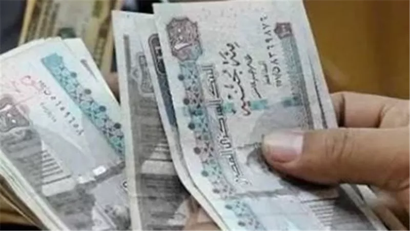 قبل الصرف.. تفاصيل مهمة عن معاش تكافل وكرامة لشهر سبتمبر 2026
