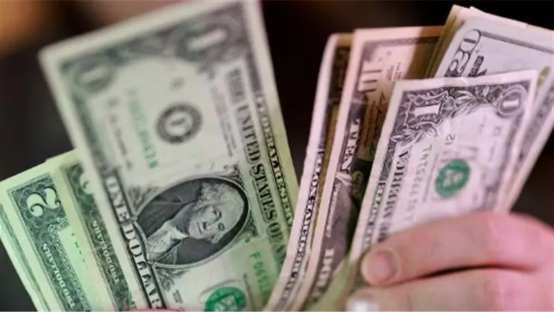 سعر الدولار اليوم في مصر.. تحرك محدود وأسعار متقاربة بين البنوك