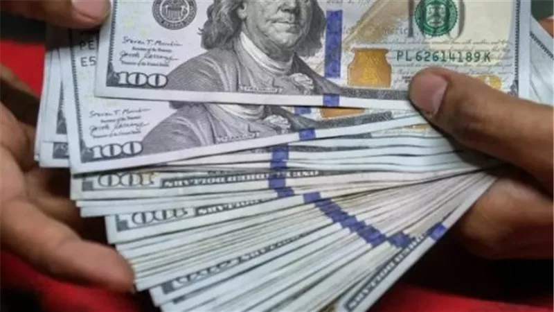 سعر الدولار اليوم مقابل الجنيه.. استقرار العملة الأمريكية في البنوك